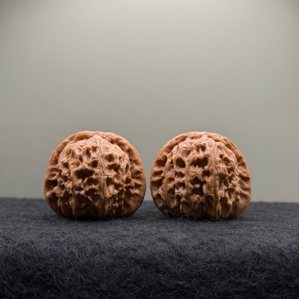 White Lion Wenwan Walnut · 39mm · Select Ritual