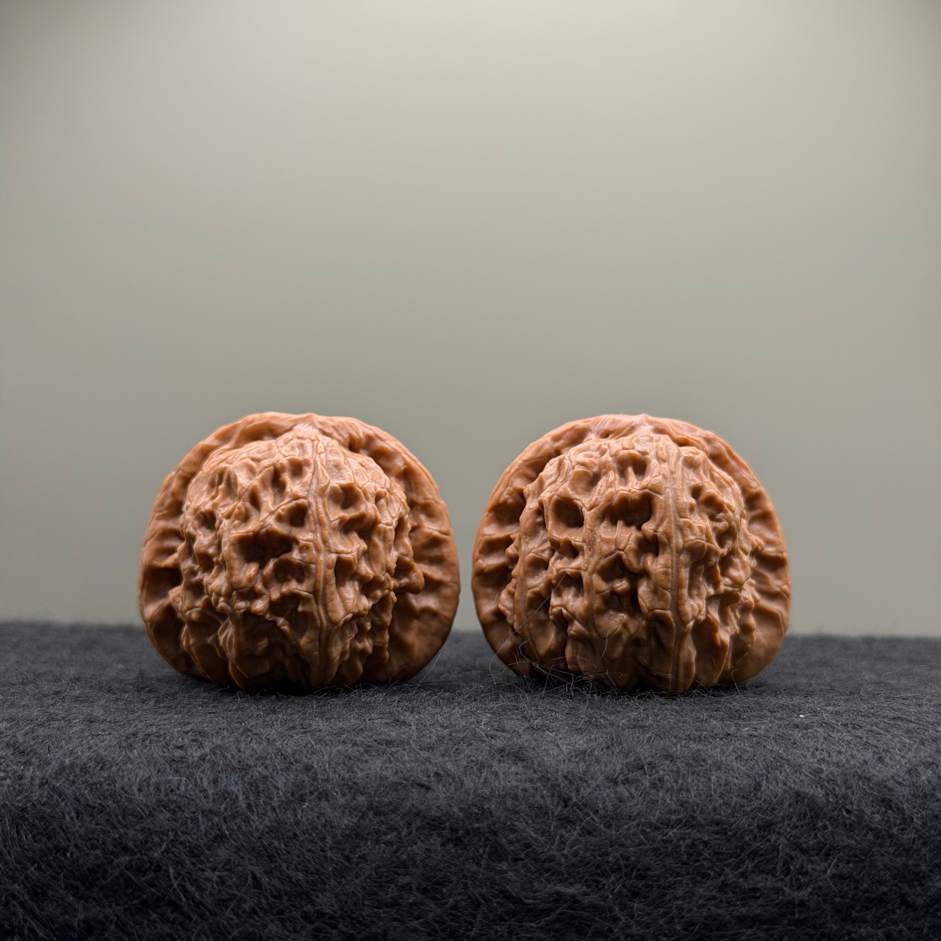 White Lion Wenwan Walnut · 39mm · Select Ritual