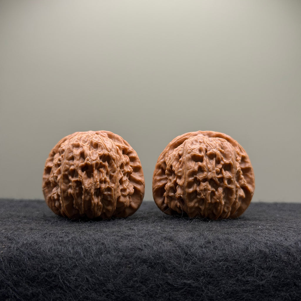 White Lion Wenwan Walnut · 39mm · Select Ritual