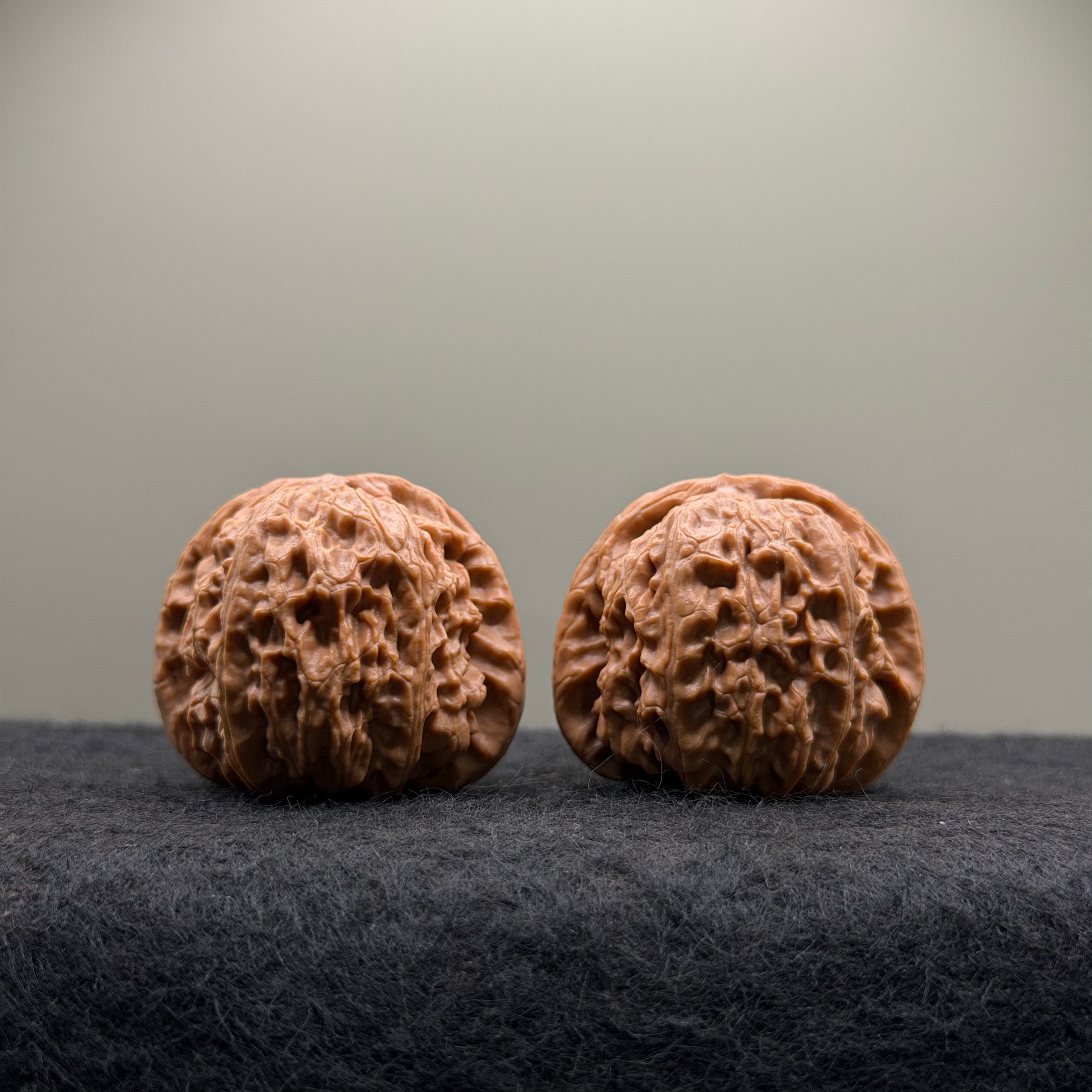 White Lion Wenwan Walnut · 39mm · Select Ritual