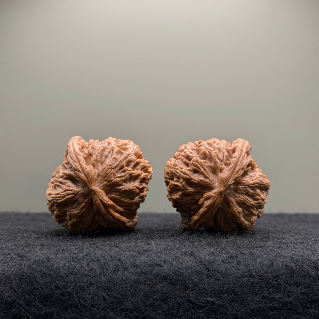 White Lion Wenwan Walnut · 39mm · Select Ritual