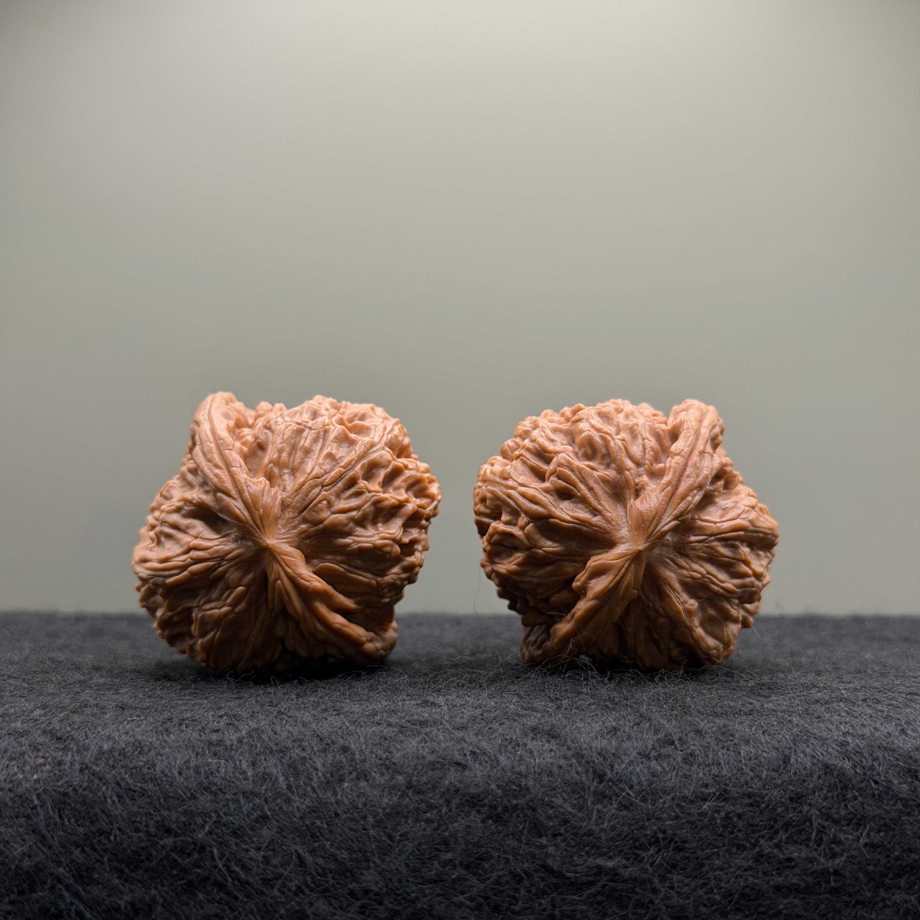 White Lion Wenwan Walnut · 39mm · Select Ritual