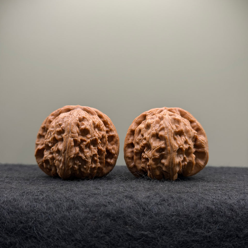 White Lion Wenwan Walnut · 38mm · Select Ritual