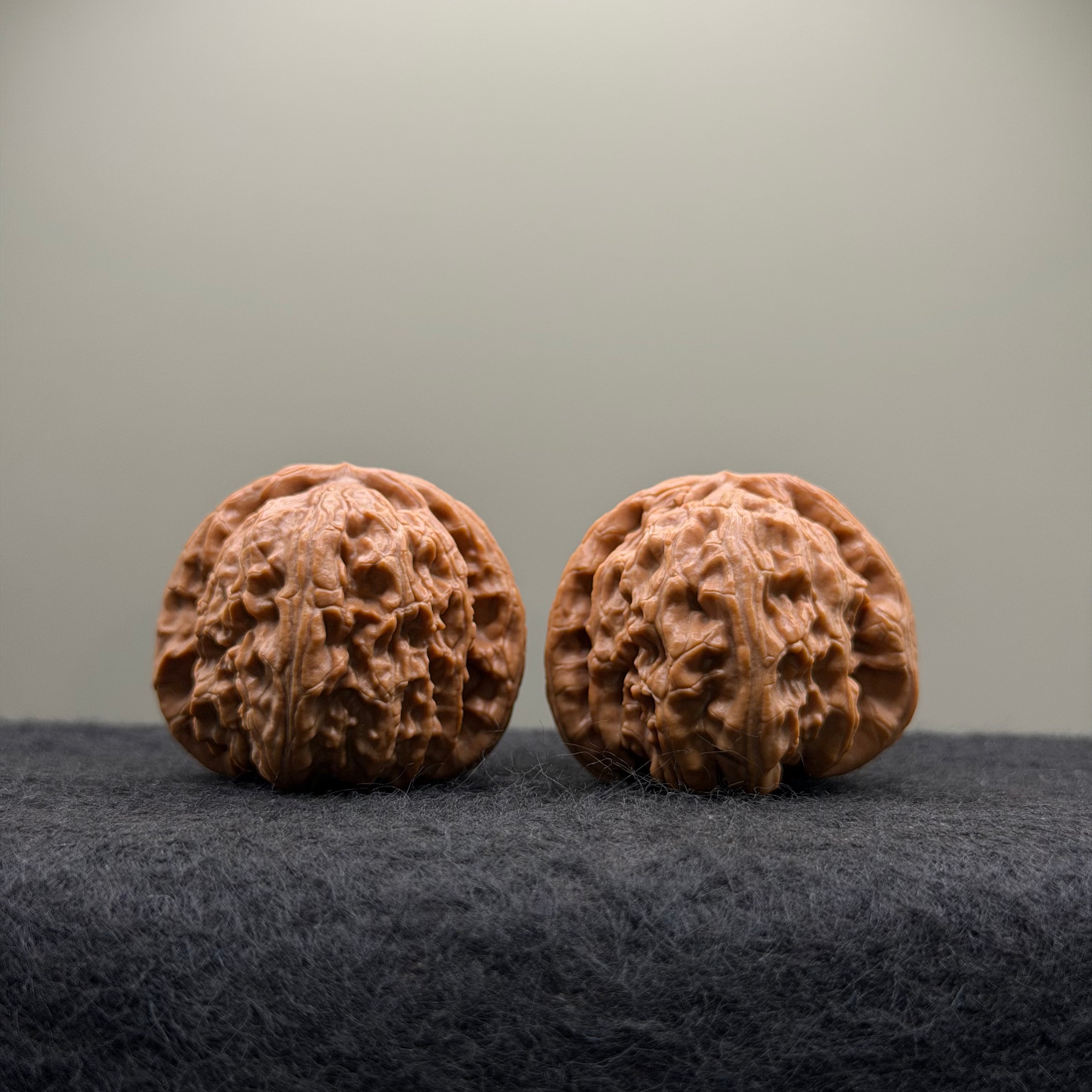 White Lion Wenwan Walnut · 38mm · Select Ritual