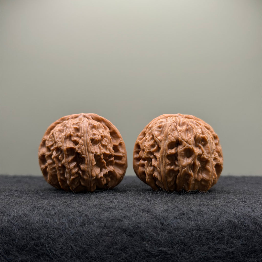 White Lion Wenwan Walnut · 38mm · Select Ritual