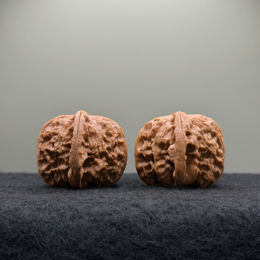 White Lion Wenwan Walnut · 38mm · Select Ritual