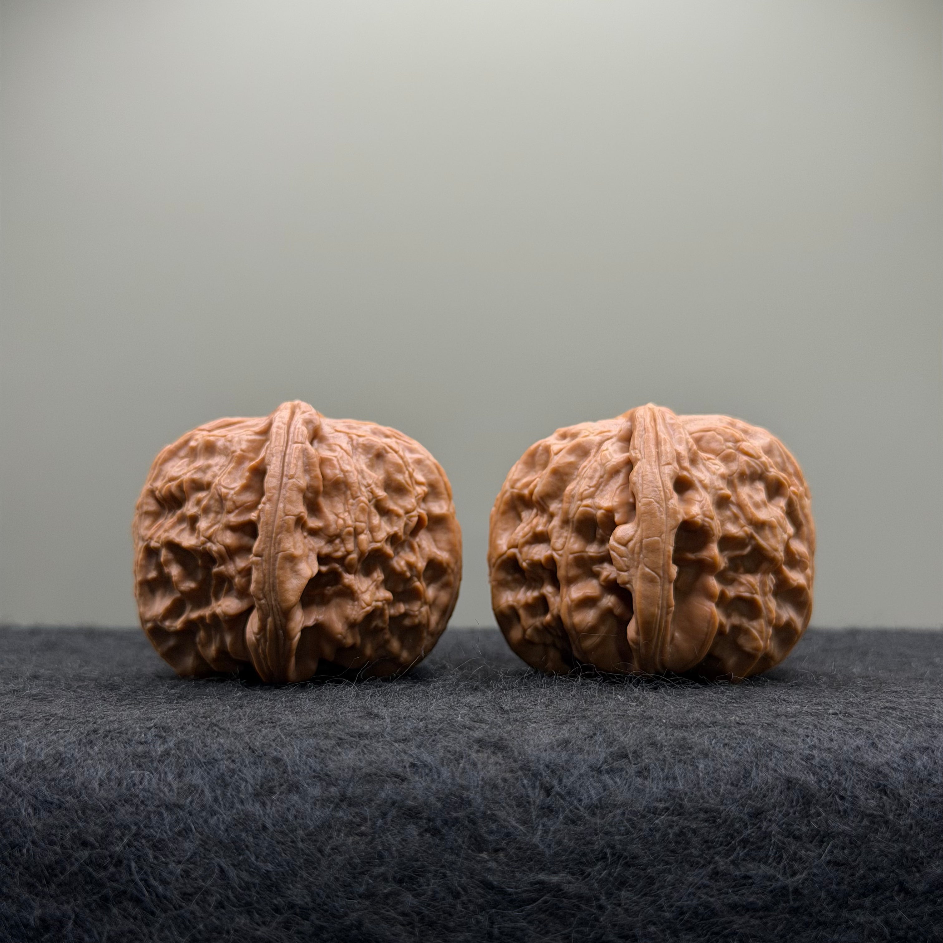 White Lion Wenwan Walnut · 38mm · Select Ritual