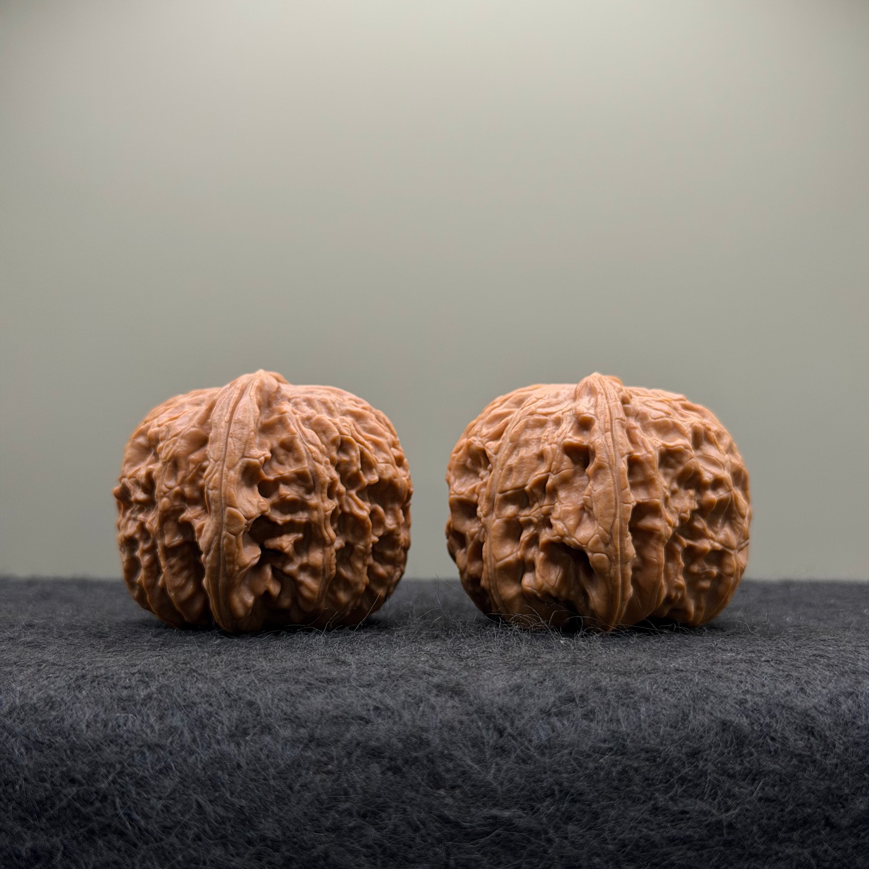White Lion Wenwan Walnut · 38mm · Select Ritual