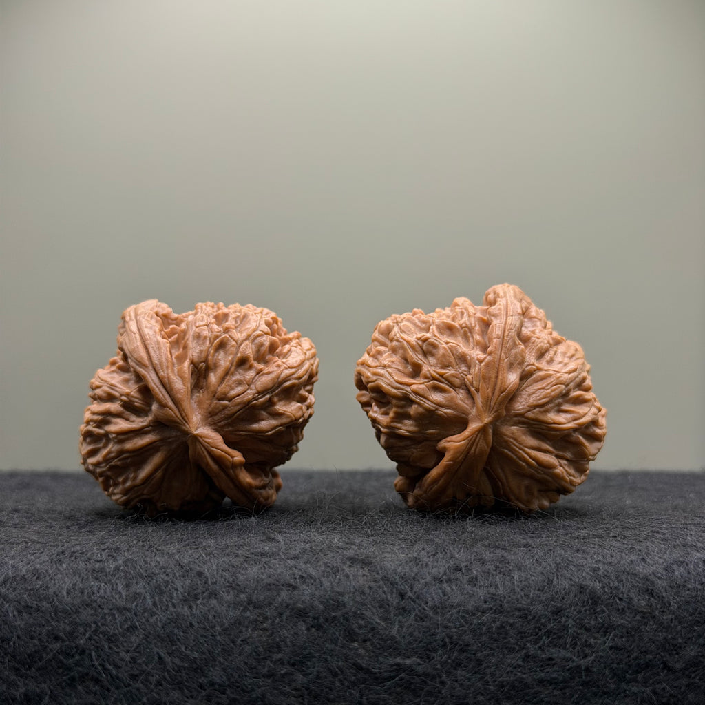 White Lion Wenwan Walnut · 38mm · Select Ritual