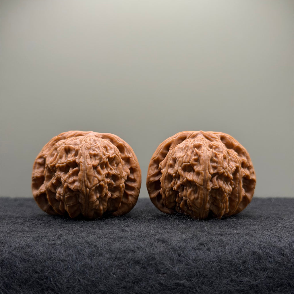 White Lion Wenwan Walnut · 42mm · Select Ritual