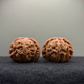 White Lion Wenwan Walnut · 42mm · Select Ritual