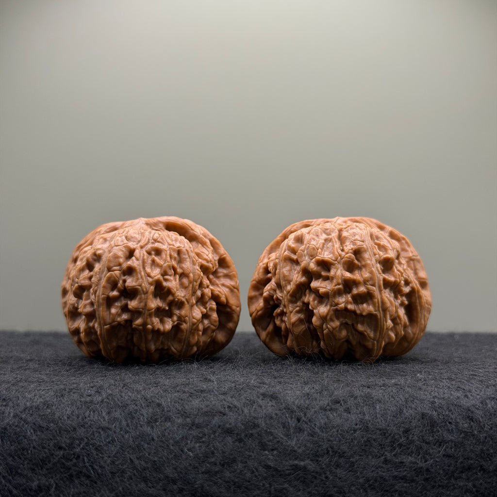 White Lion Wenwan Walnut · 42mm · Select Ritual