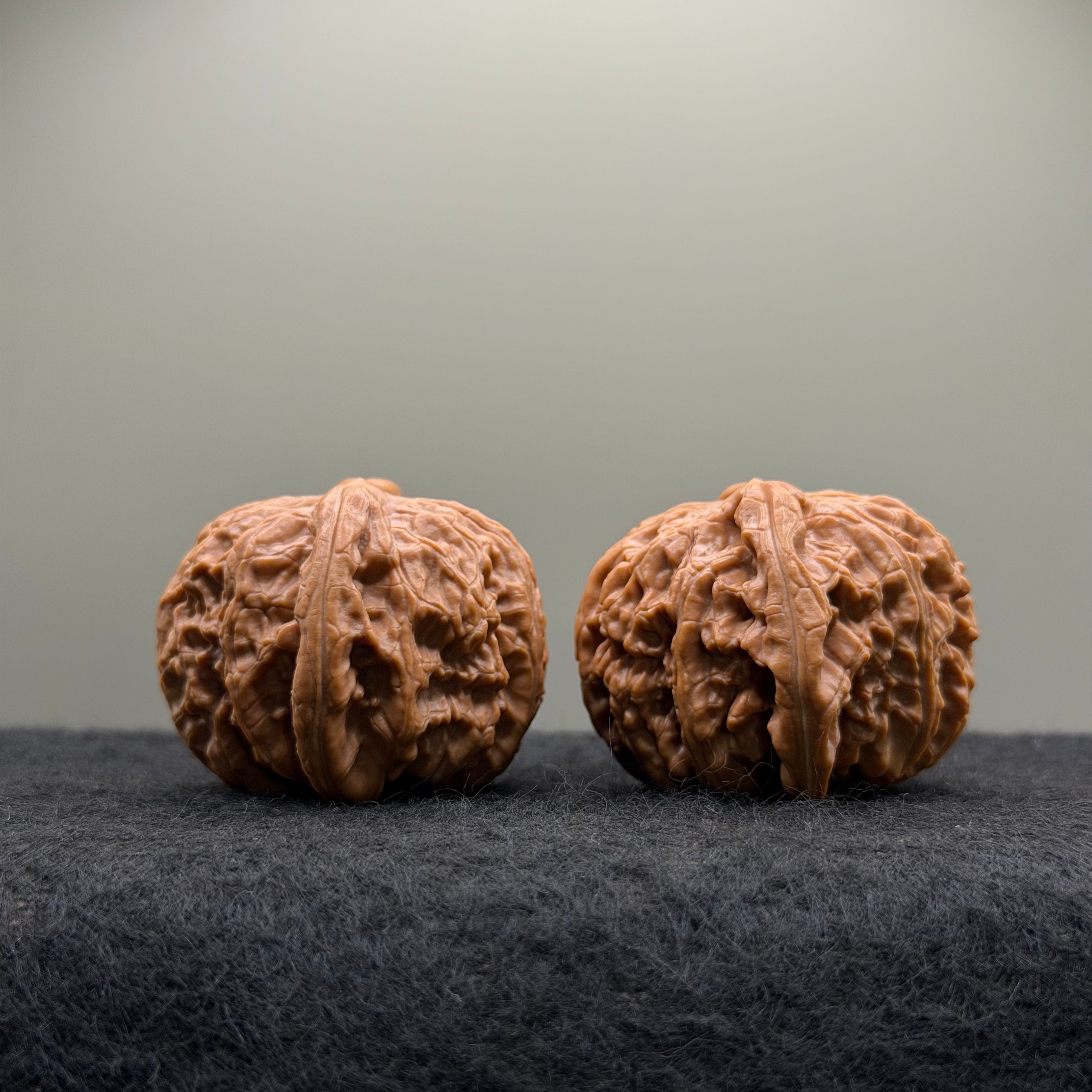 White Lion Wenwan Walnut · 42mm · Select Ritual