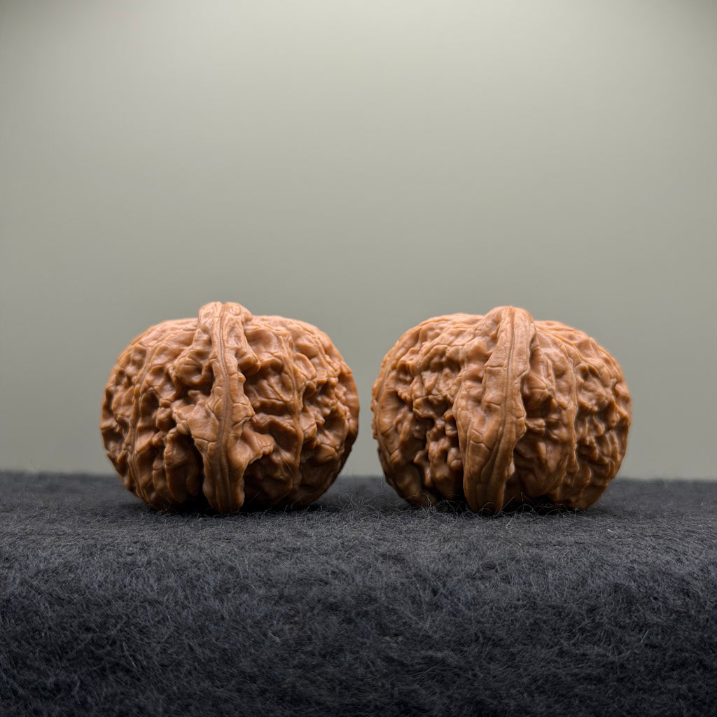 White Lion Wenwan Walnut · 42mm · Select Ritual