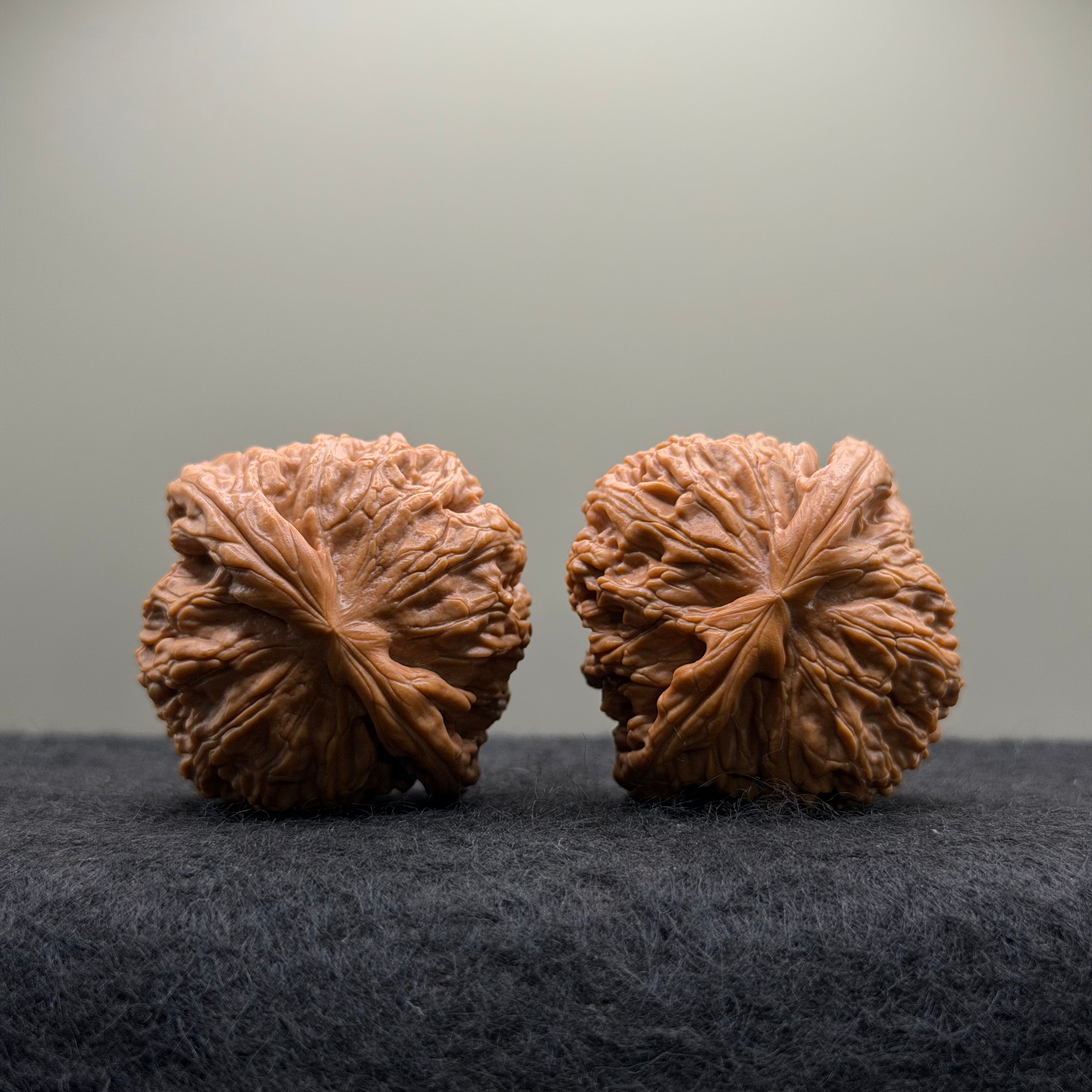 White Lion Wenwan Walnut · 42mm · Select Ritual