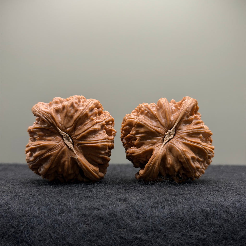 White Lion Wenwan Walnut · 42mm · Select Ritual