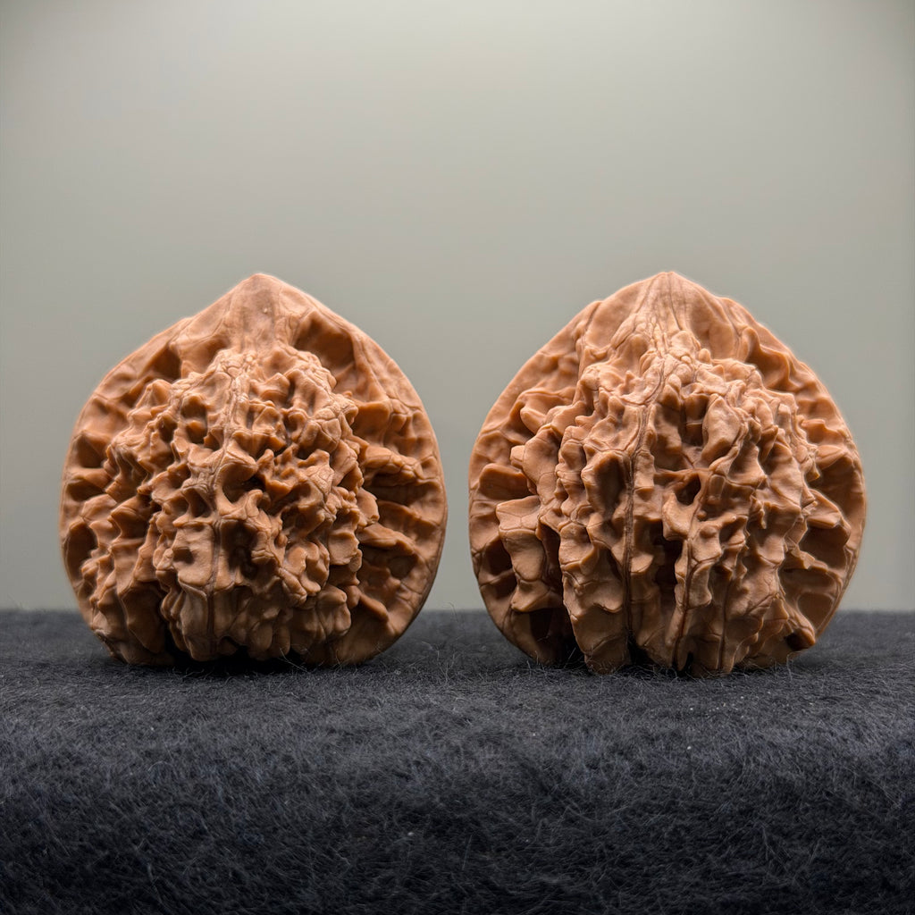 Official Hat Wenwan Walnut  · 47mm · Natural · Entry Ritual