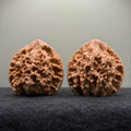 Official Hat Wenwan Walnut  · 47mm · Natural · Entry Ritual