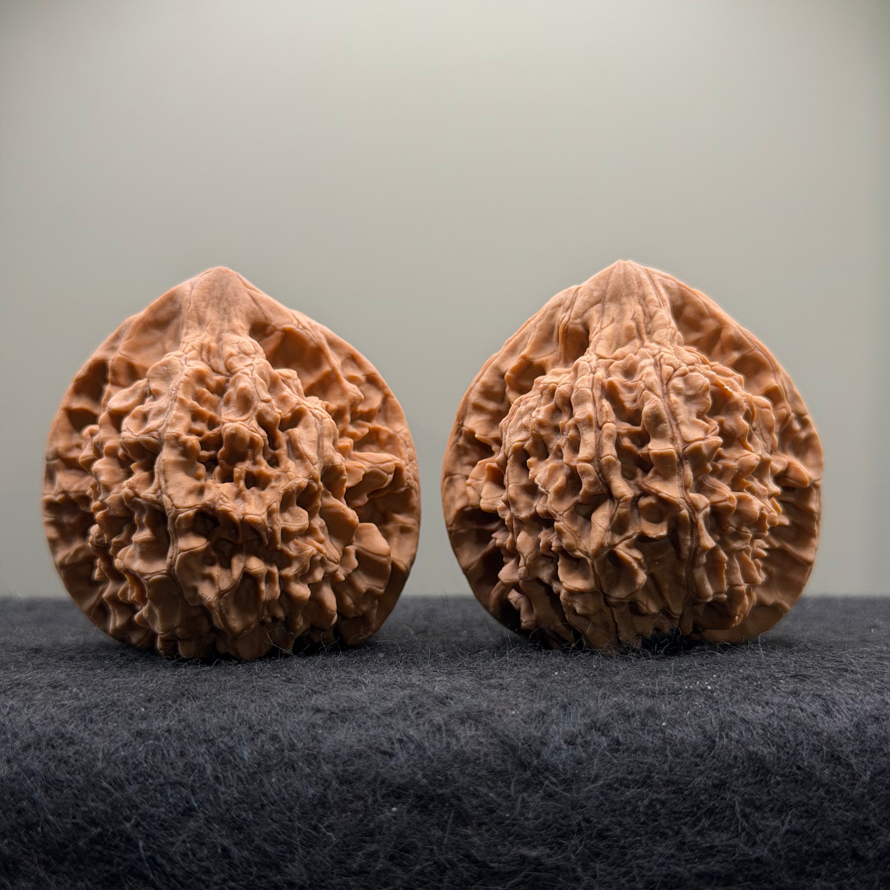 Official Hat Wenwan Walnut  · 47mm · Natural · Entry Ritual