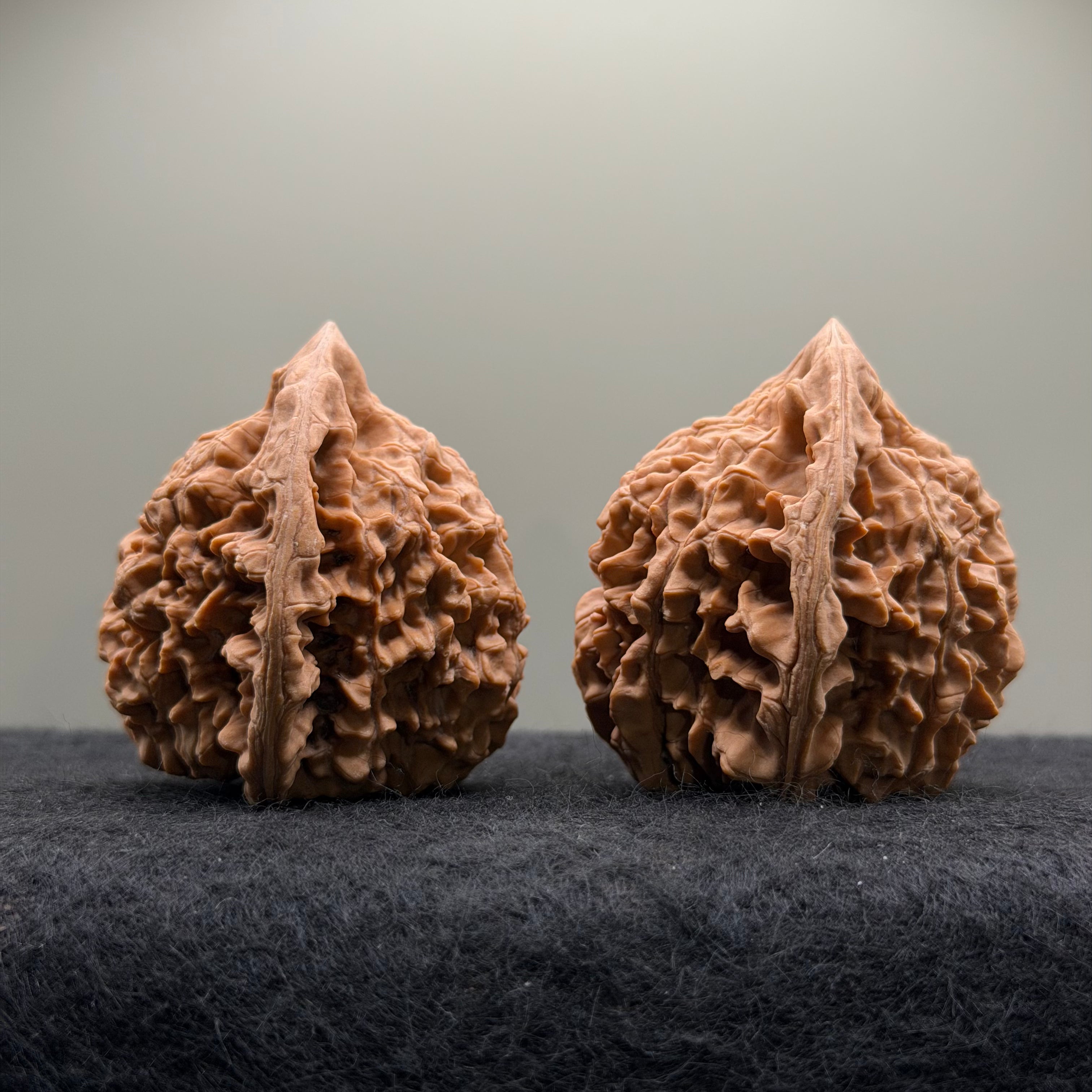 Official Hat Wenwan Walnut  · 47mm · Natural · Entry Ritual