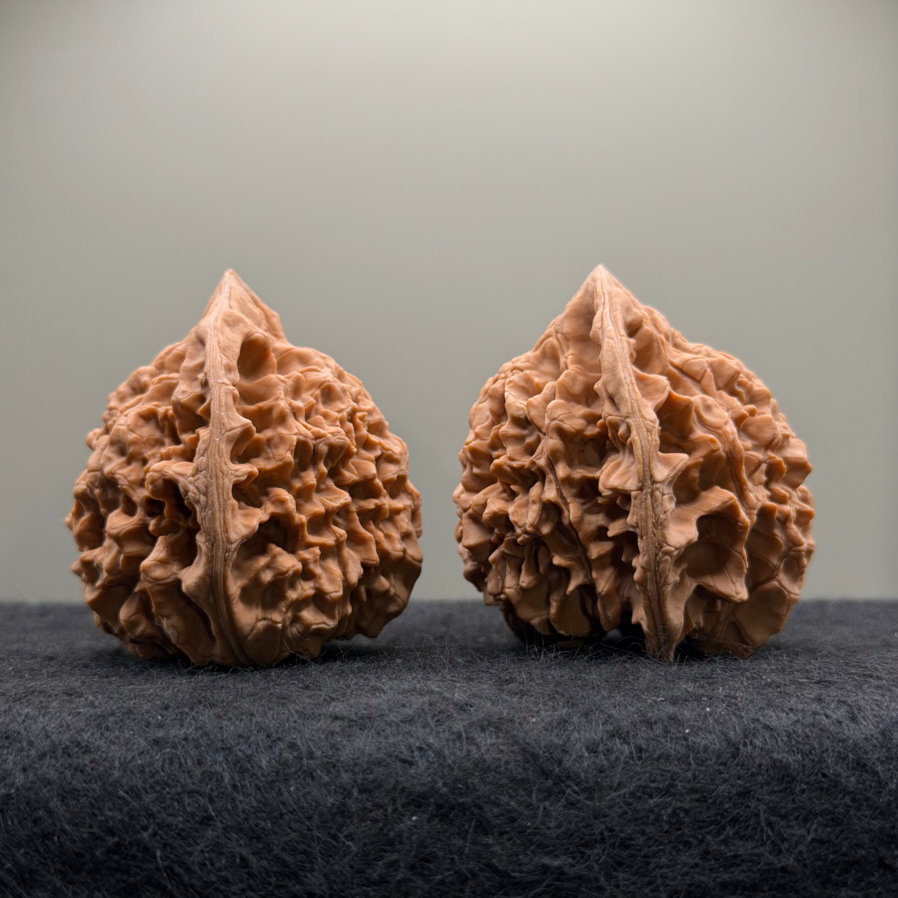 Official Hat Wenwan Walnut  · 47mm · Natural · Entry Ritual