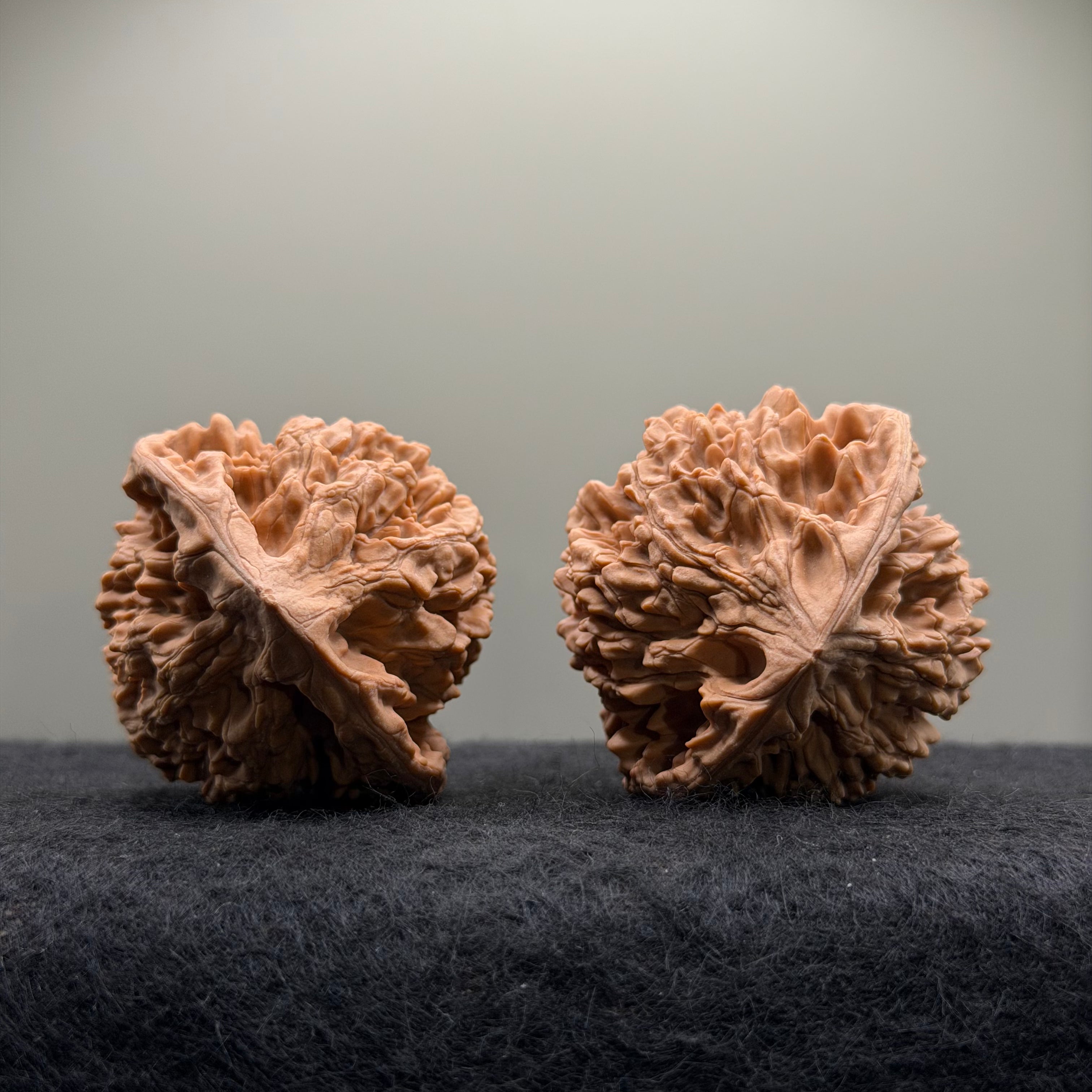 Official Hat Wenwan Walnut  · 47mm · Natural · Entry Ritual