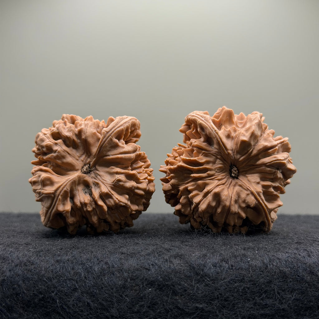 Official Hat Wenwan Walnut  · 47mm · Natural · Entry Ritual