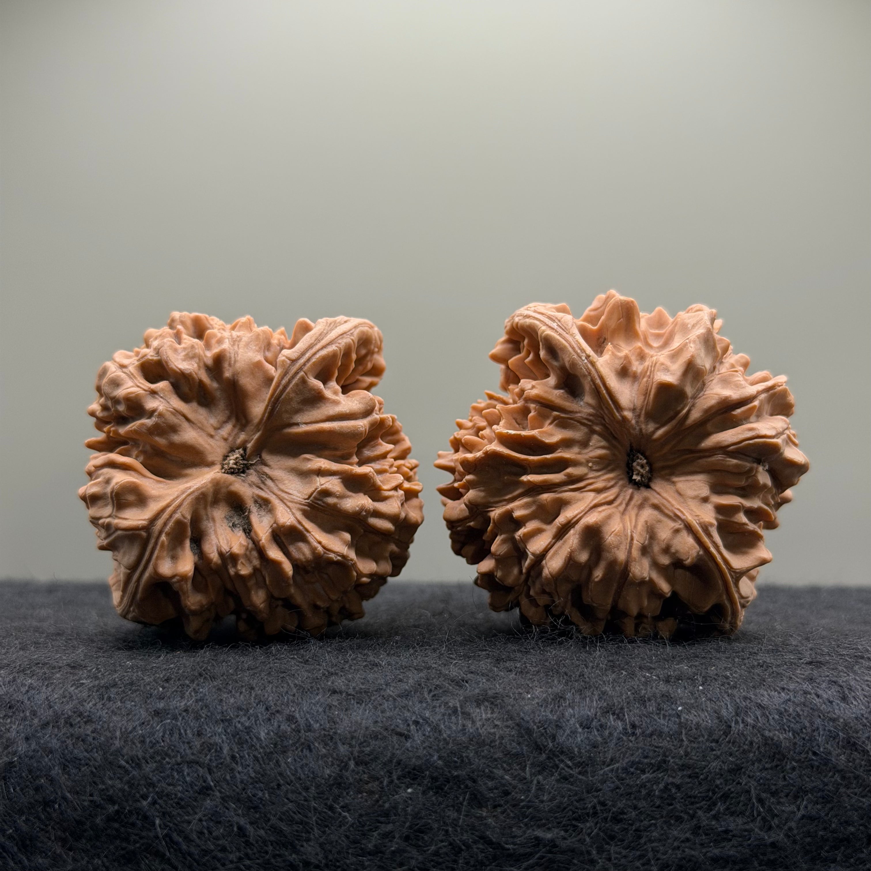 Official Hat Wenwan Walnut  · 47mm · Natural · Entry Ritual