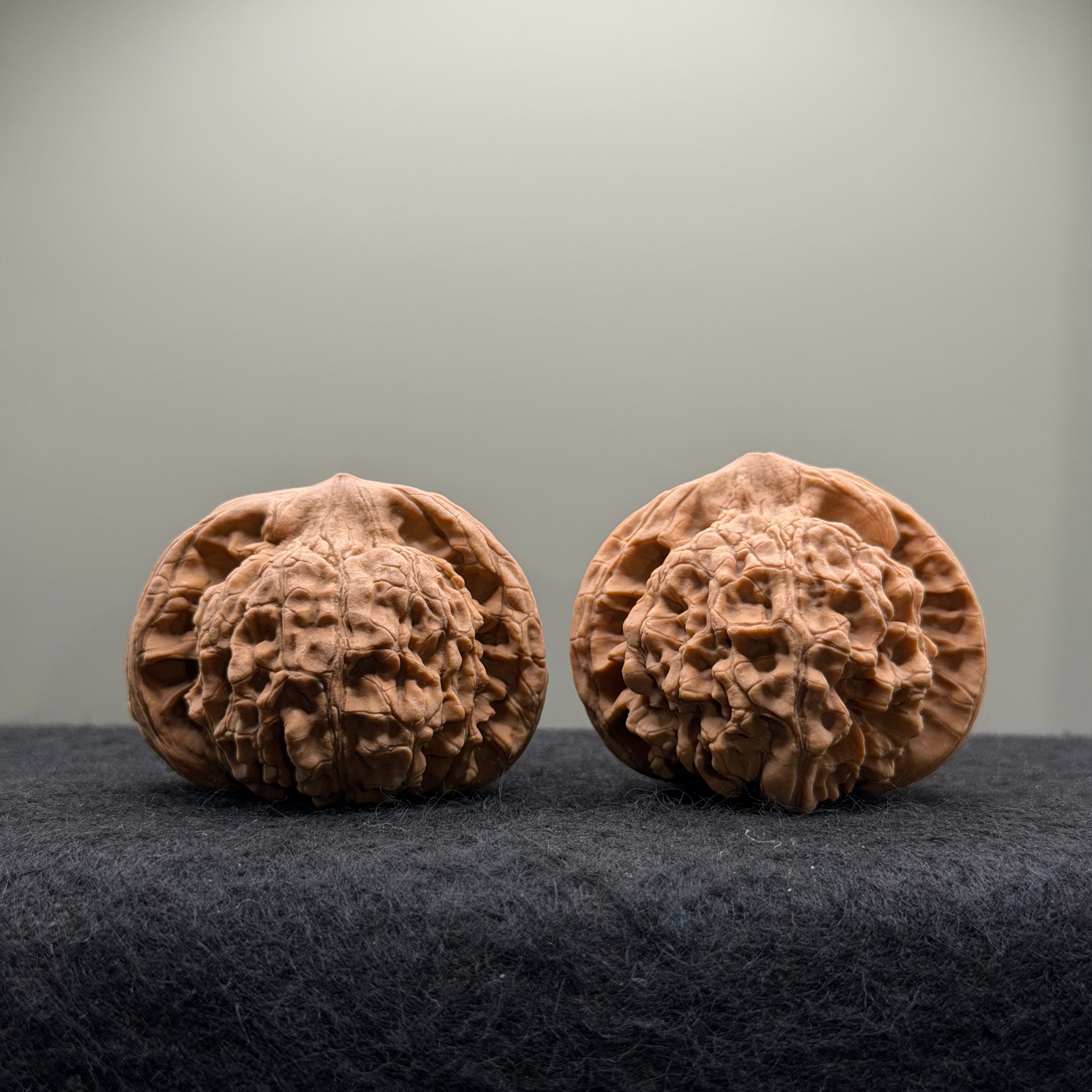 Official Hat Wenwan Walnut  · 47mm · Natural · Entry Ritual