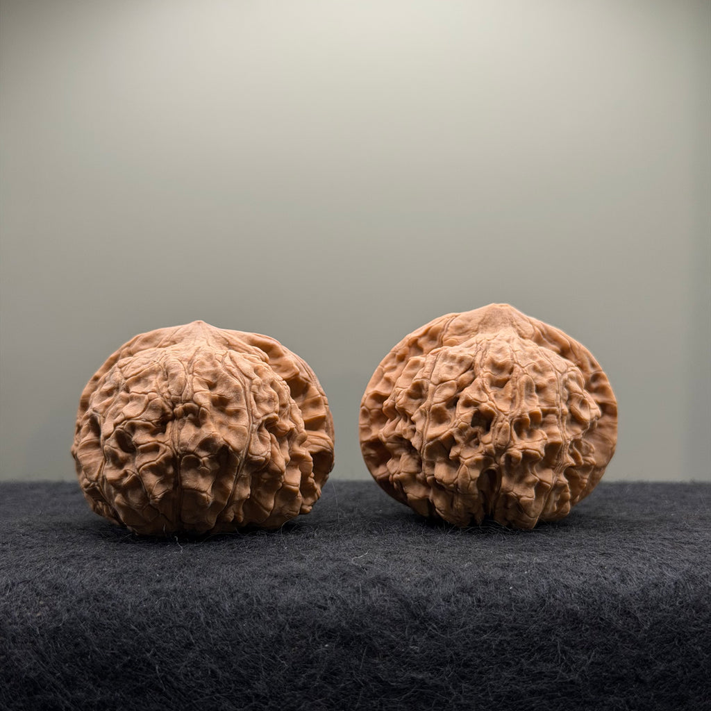 Official Hat Wenwan Walnut  · 47mm · Natural · Entry Ritual