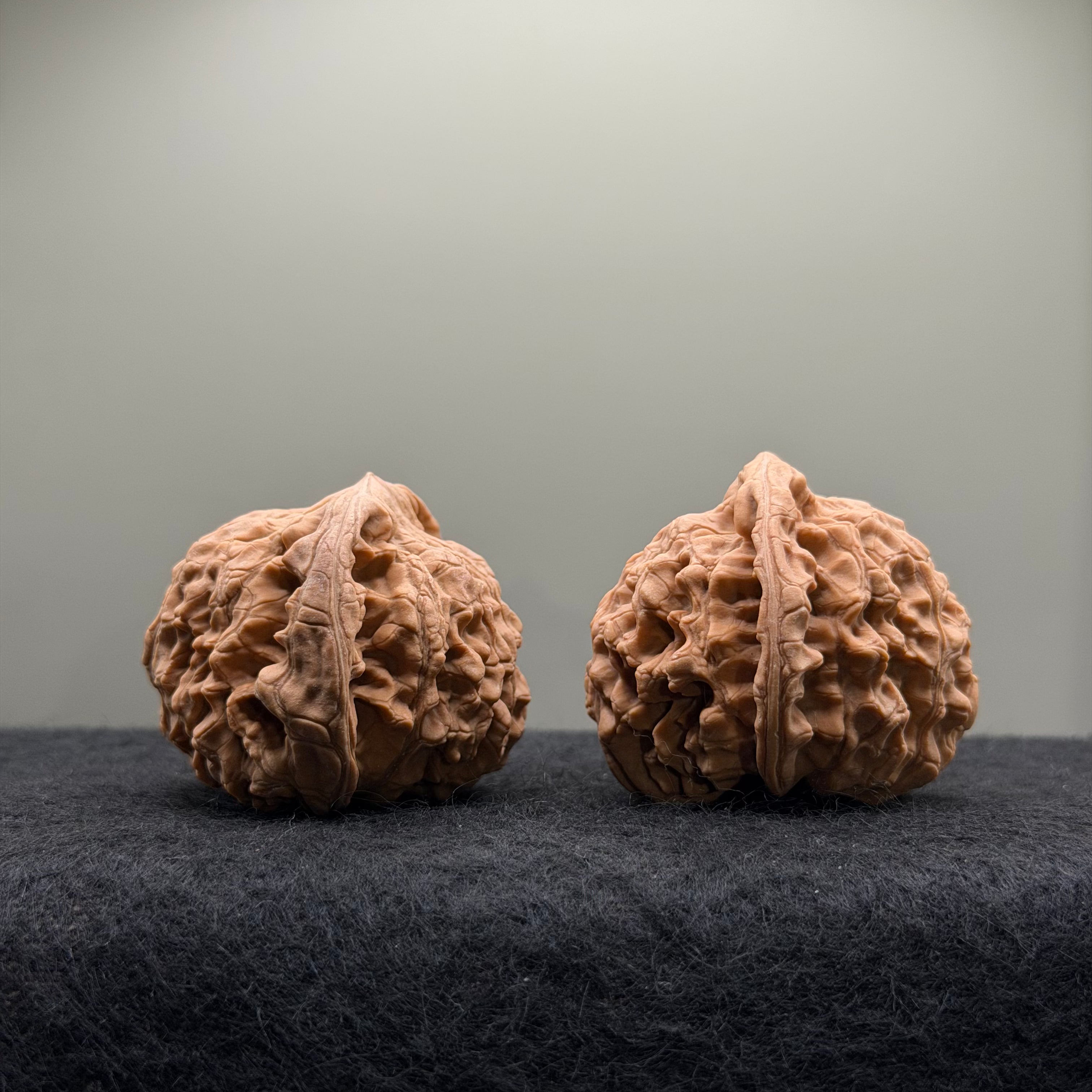 Official Hat Wenwan Walnut  · 47mm · Natural · Entry Ritual