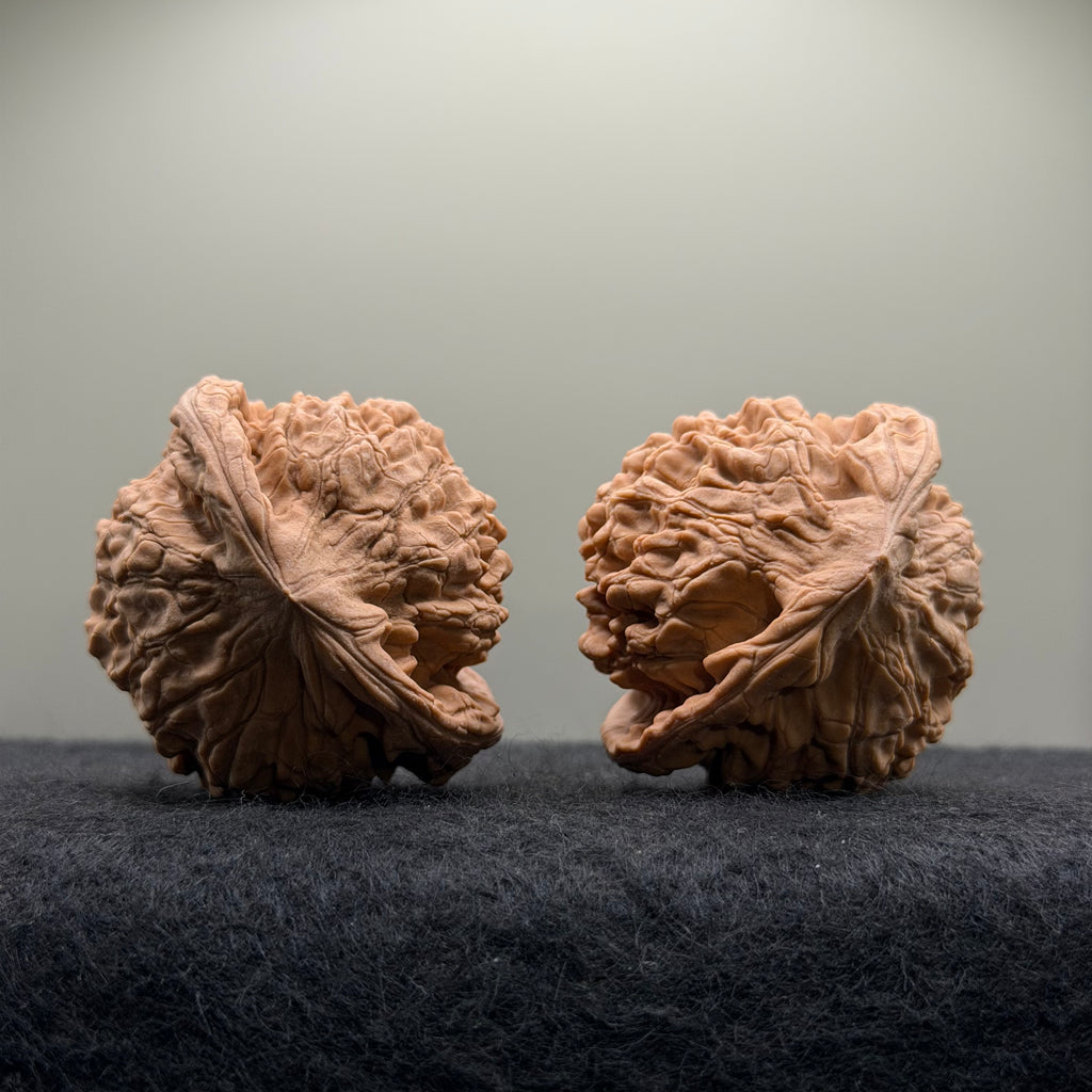 Official Hat Wenwan Walnut  · 47mm · Natural · Entry Ritual