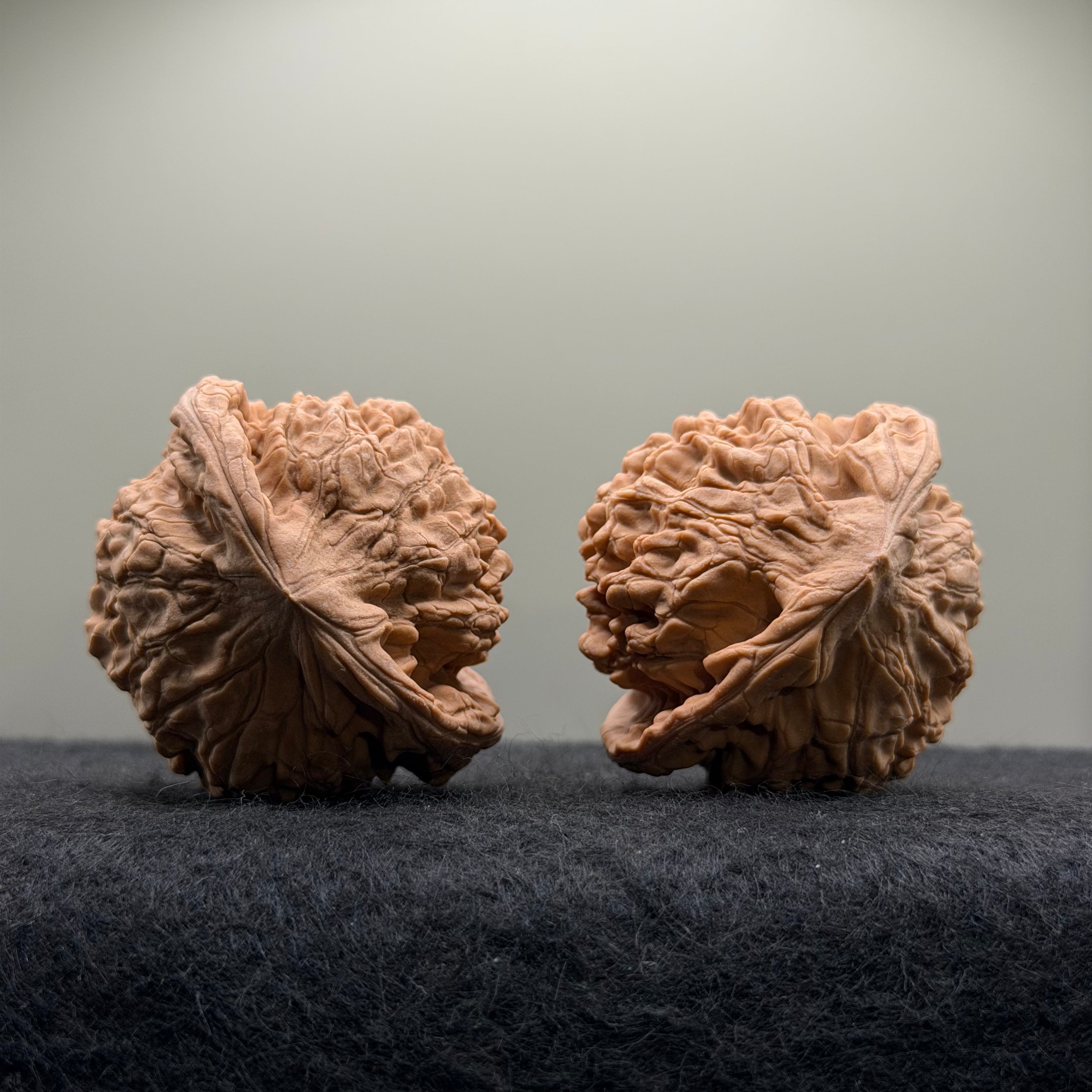 Official Hat Wenwan Walnut  · 47mm · Natural · Entry Ritual