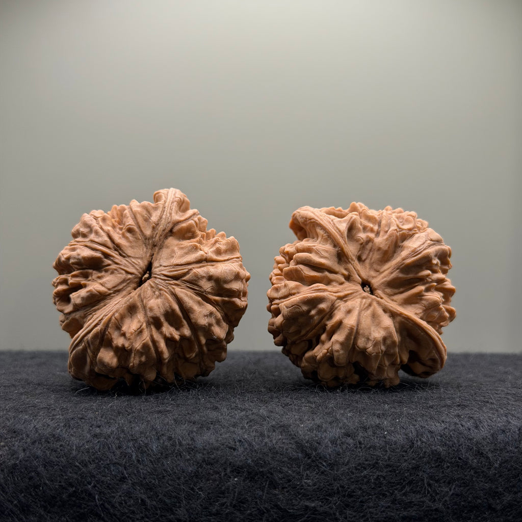 Official Hat Wenwan Walnut  · 47mm · Natural · Entry Ritual