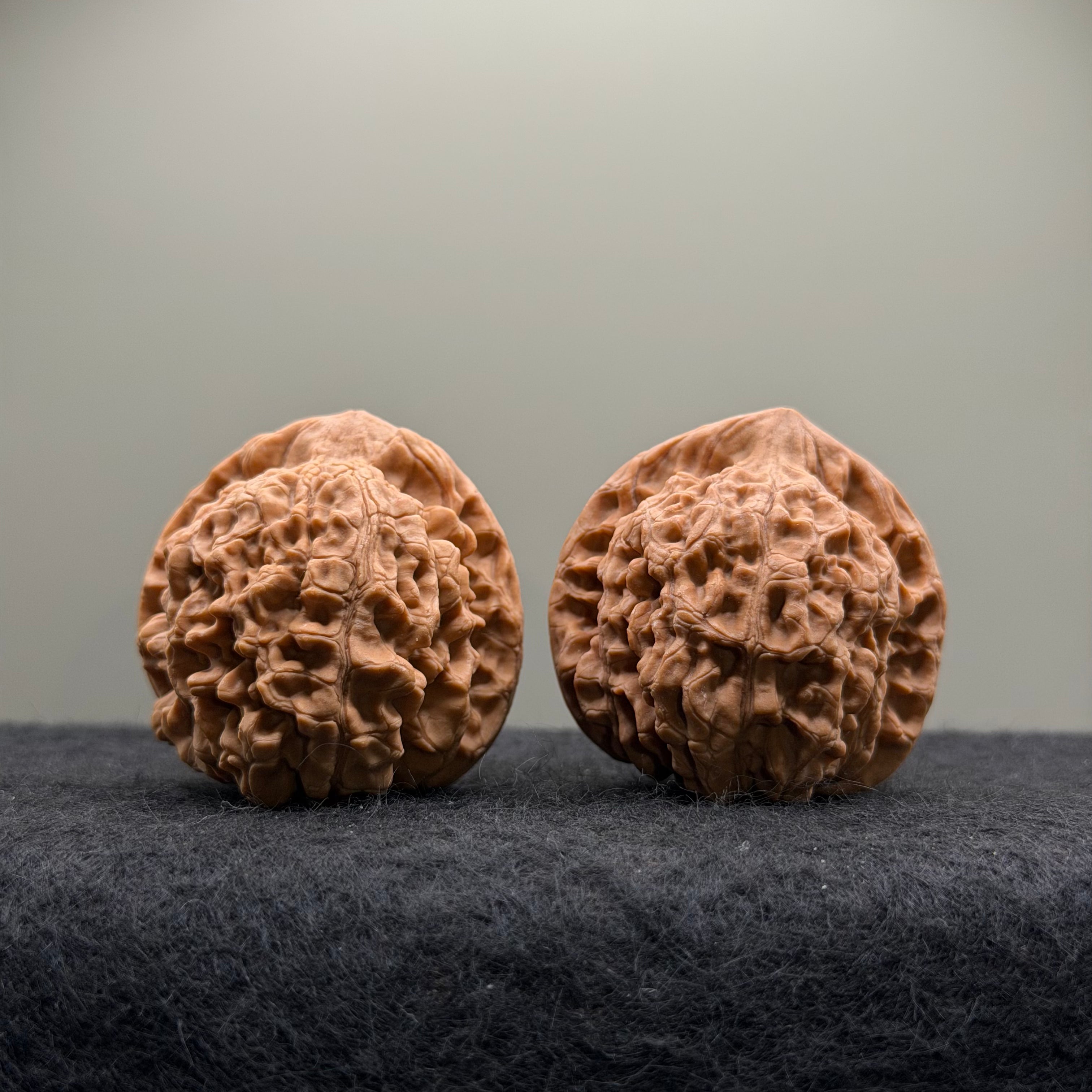 Official Hat Wenwan Walnut  · 39mm · Natural · Entry Ritual