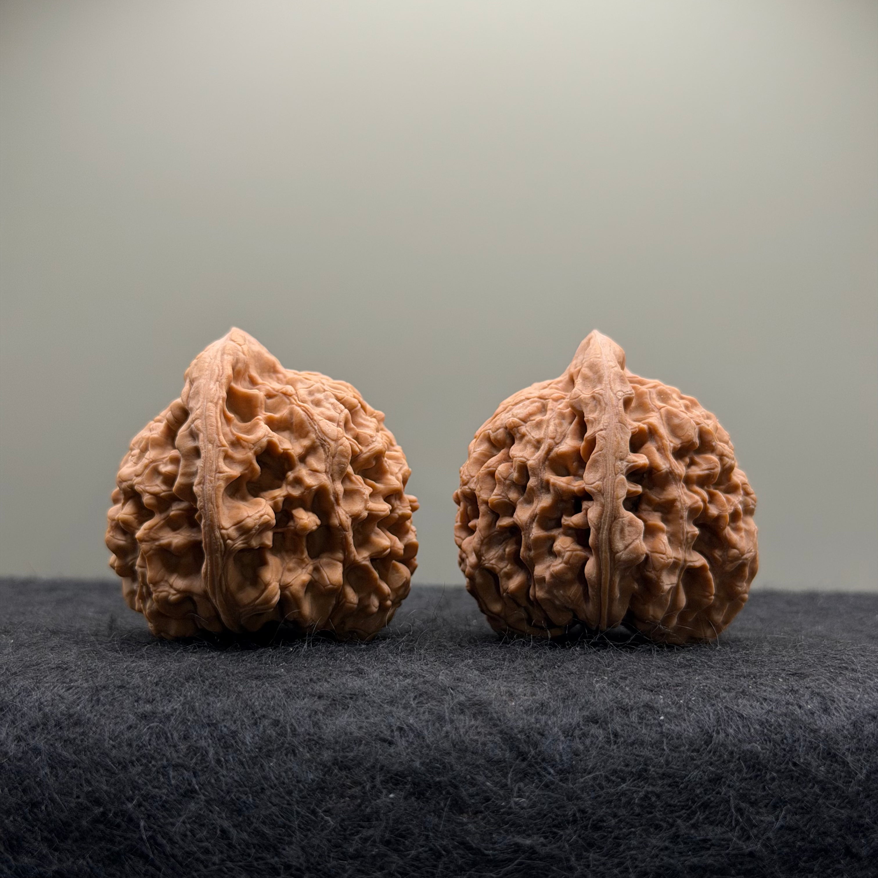 Official Hat Wenwan Walnut  · 39mm · Natural · Entry Ritual