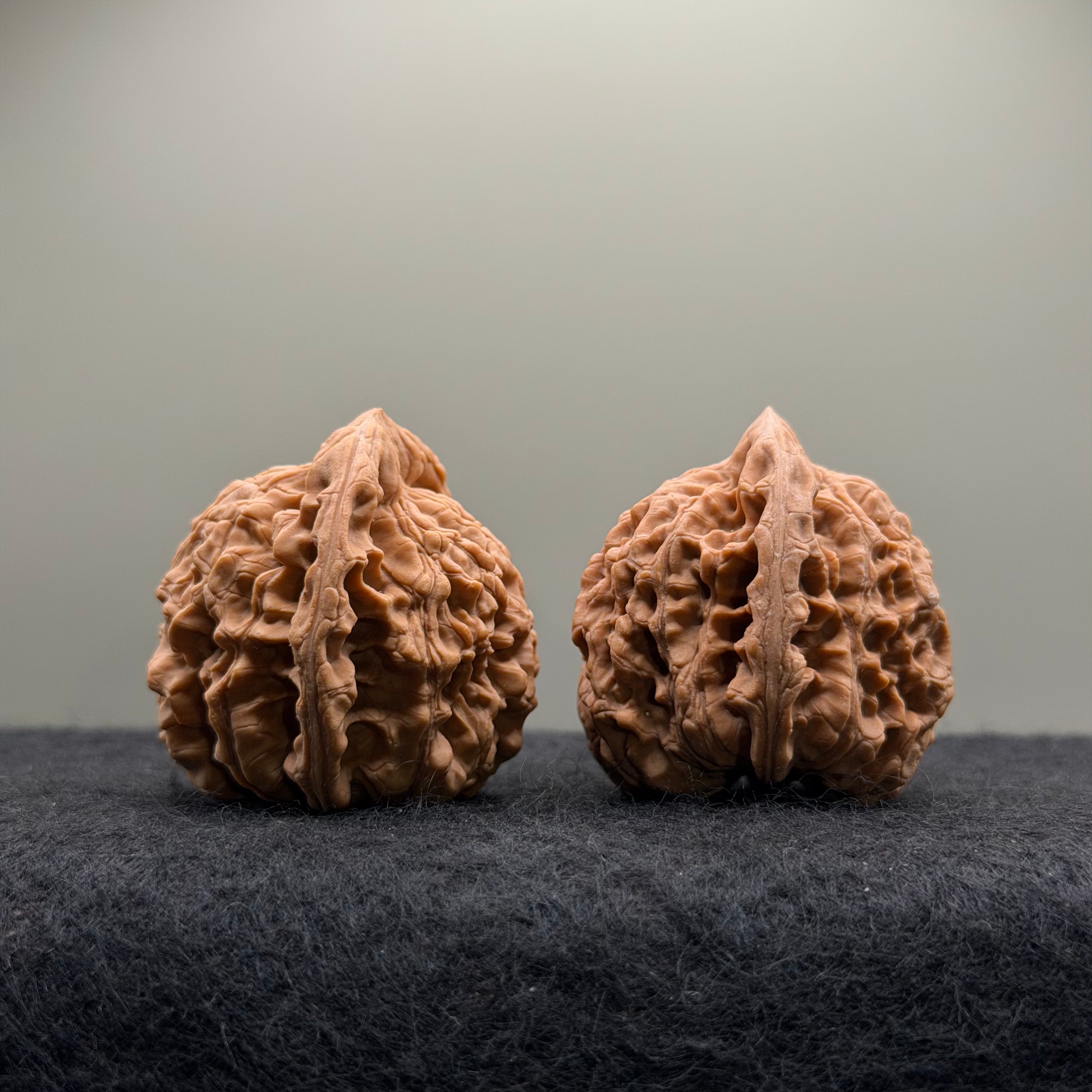 Official Hat Wenwan Walnut  · 39mm · Natural · Entry Ritual