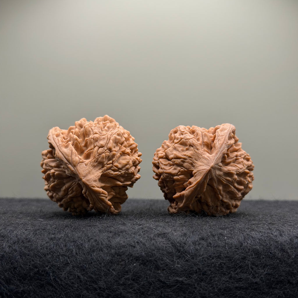 Official Hat Wenwan Walnut  · 39mm · Natural · Entry Ritual