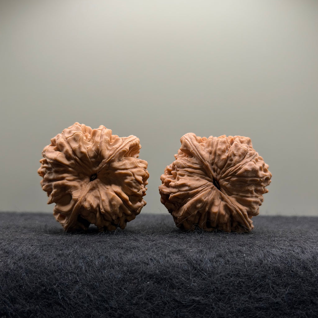 Official Hat Wenwan Walnut  · 39mm · Natural · Entry Ritual