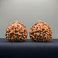 Emperor Wenwan Walnut · 41mm · Select Ritual