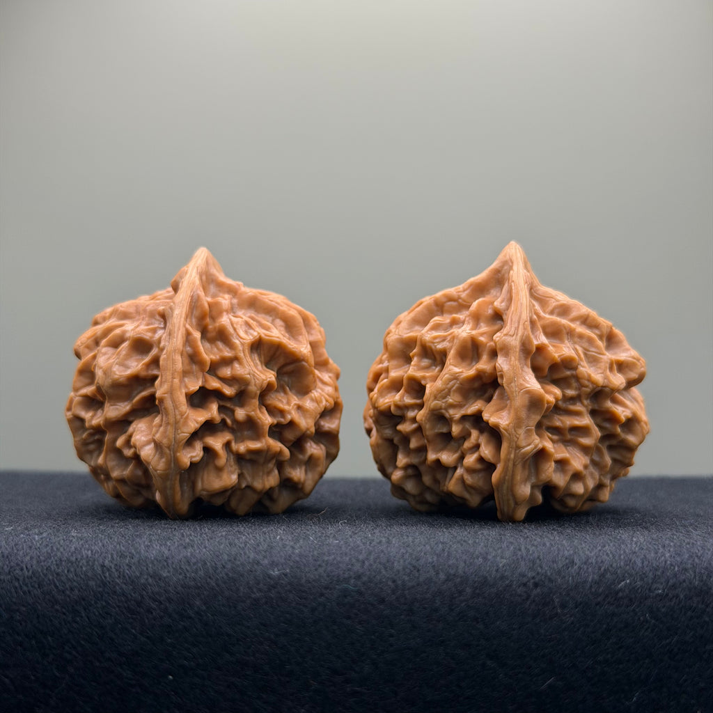 Emperor Wenwan Walnut · 41mm · Select Ritual