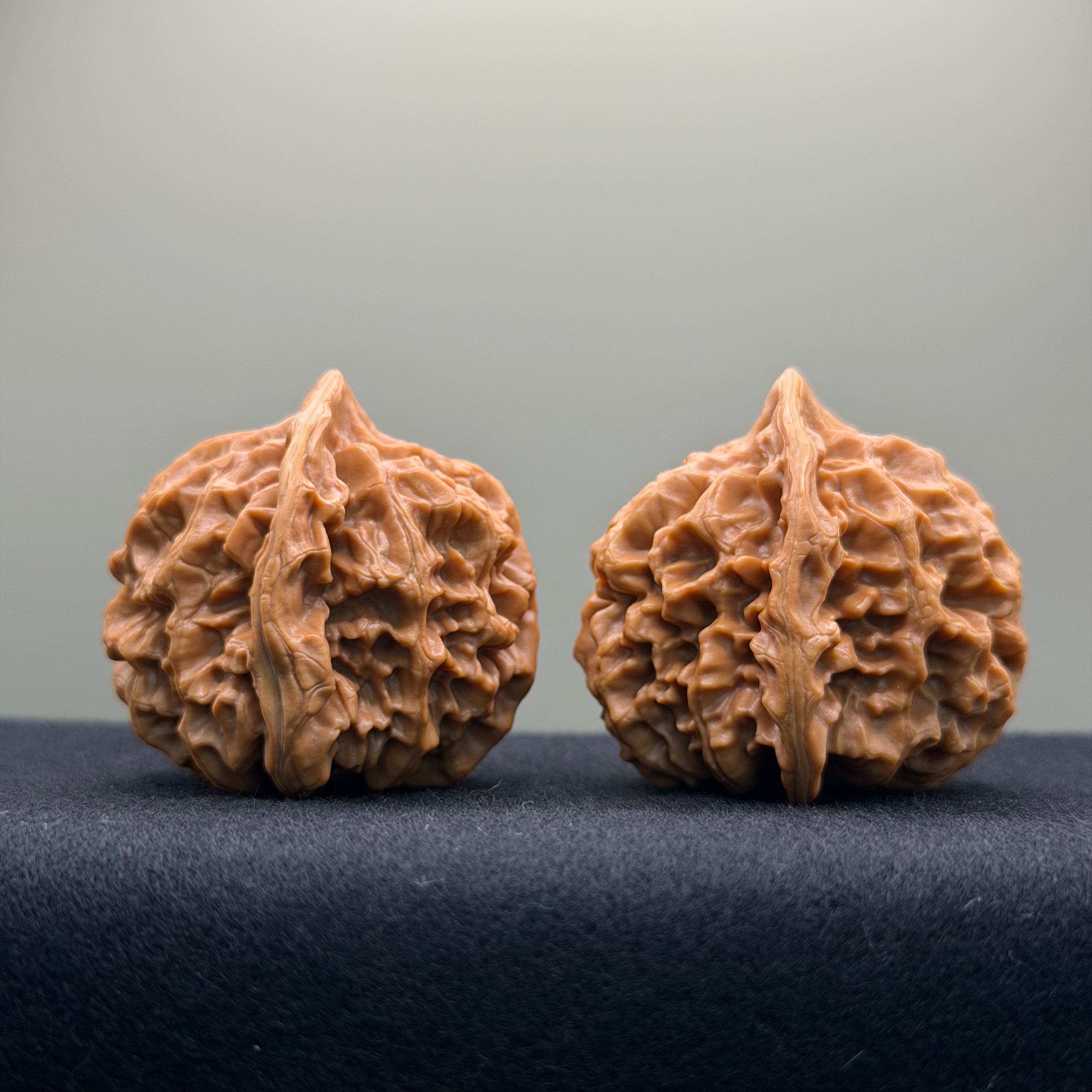Emperor Wenwan Walnut · 41mm · Select Ritual