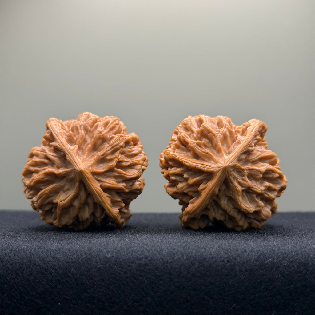 Emperor Wenwan Walnut · 41mm · Select Ritual