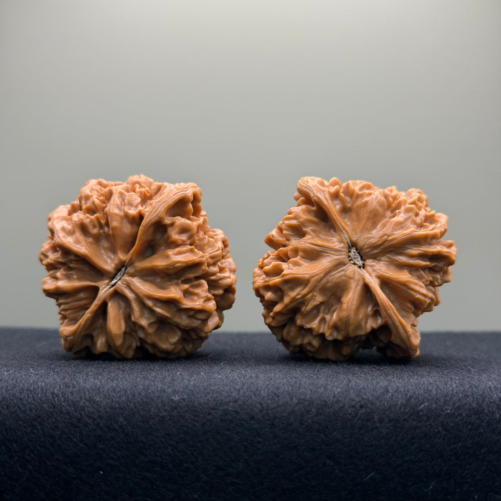 Emperor Wenwan Walnut · 41mm · Select Ritual