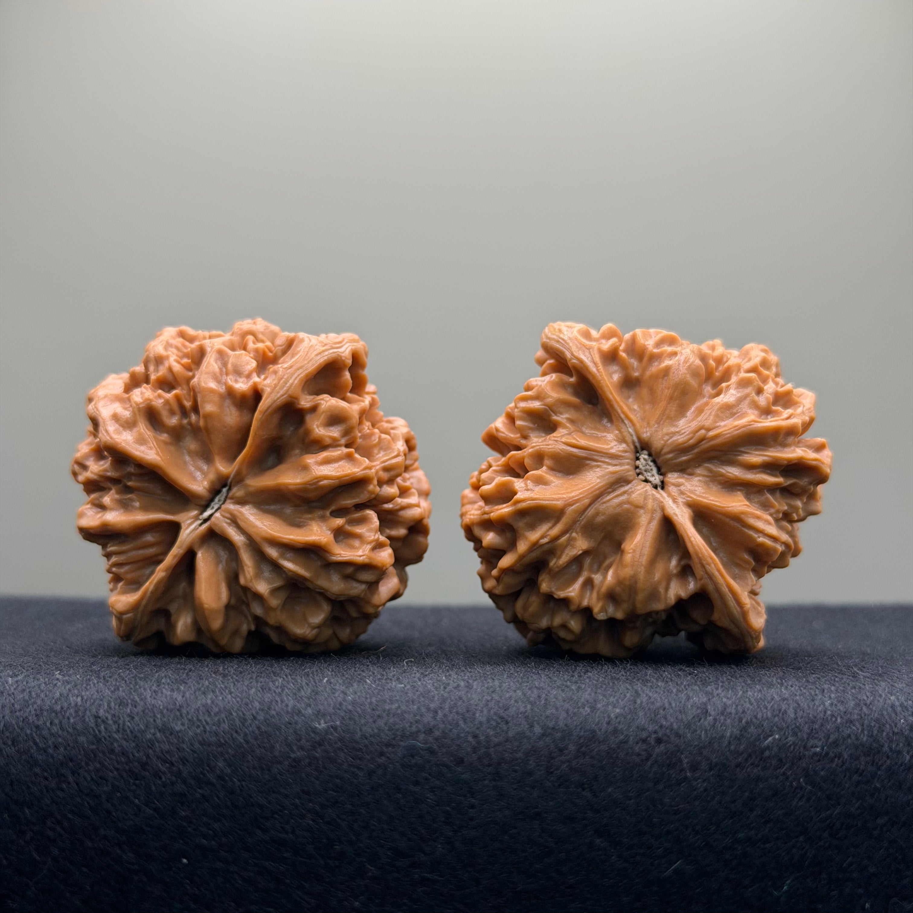 Emperor Wenwan Walnut · 41mm · Select Ritual