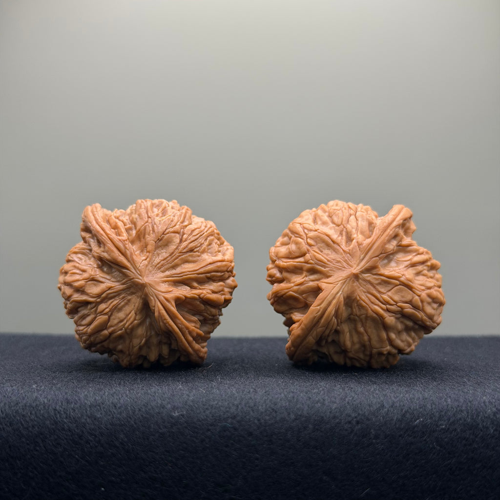 Millstone Wenwan Walnut · 39mm · Select Ritual