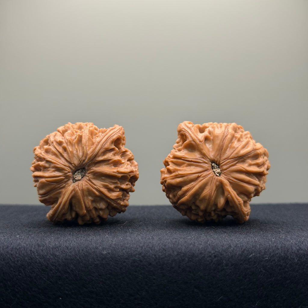 Millstone Wenwan Walnut · 39mm · Select Ritual
