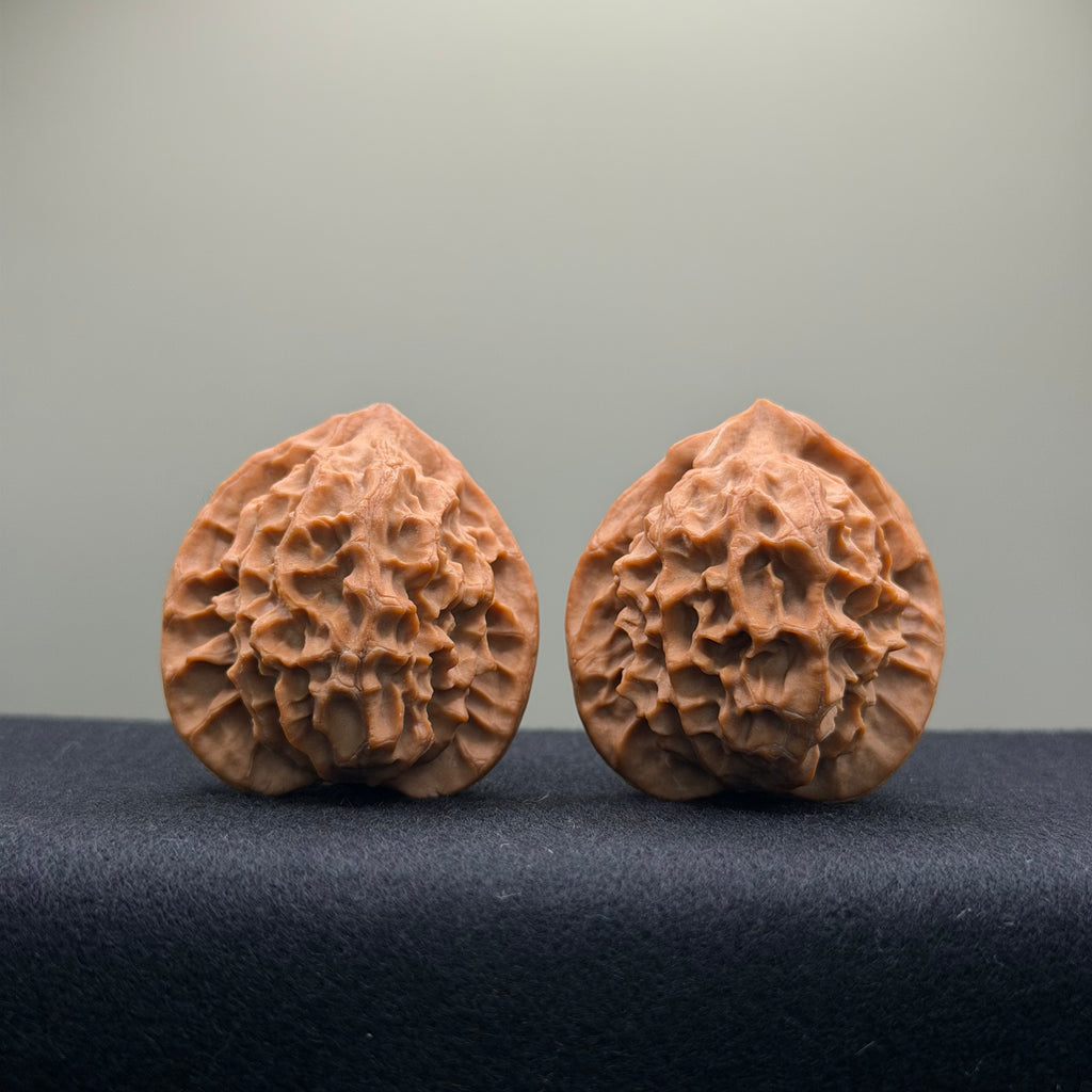 Dragon Scale Wenwan Walnut · 39mm · Natural · Collector Ritual