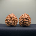 Dragon Scale Wenwan Walnut · 39mm · Natural · Collector Ritual