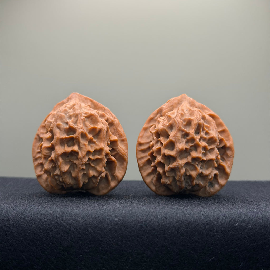 Dragon Scale Wenwan Walnut · 39mm · Natural · Collector Ritual